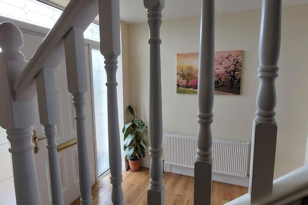 Modern Countryside Apartment Killmallock Lodge Enniscorthy Eksteriør billede